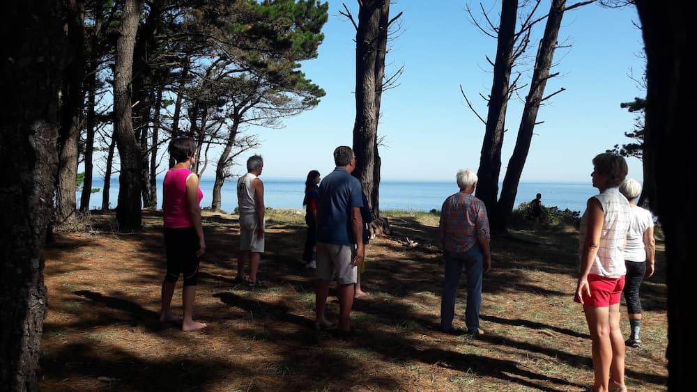 groupe méditation extérieur