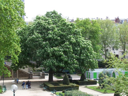 square rené le gall